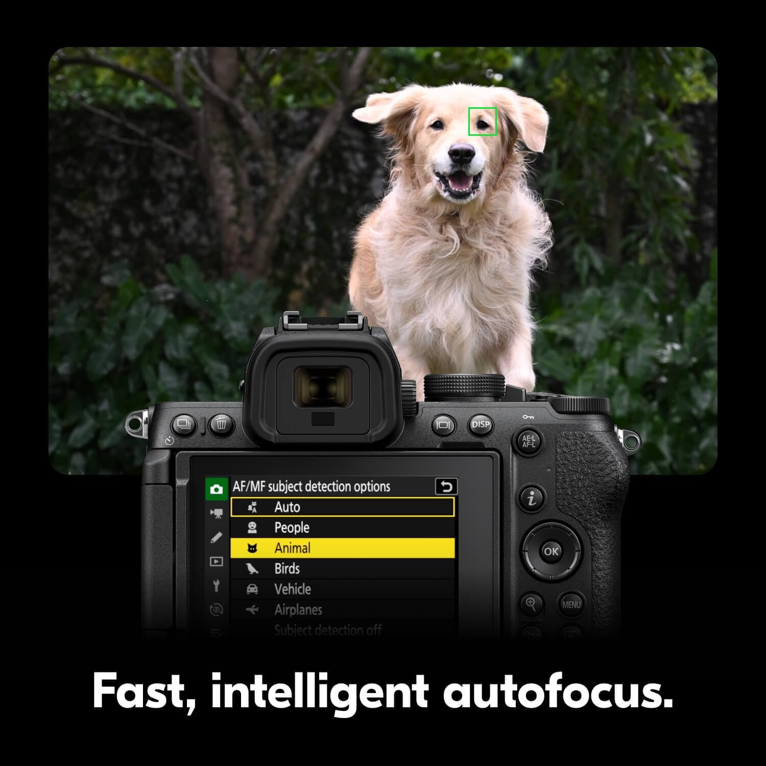 71DBTk8yblL._SL1500_