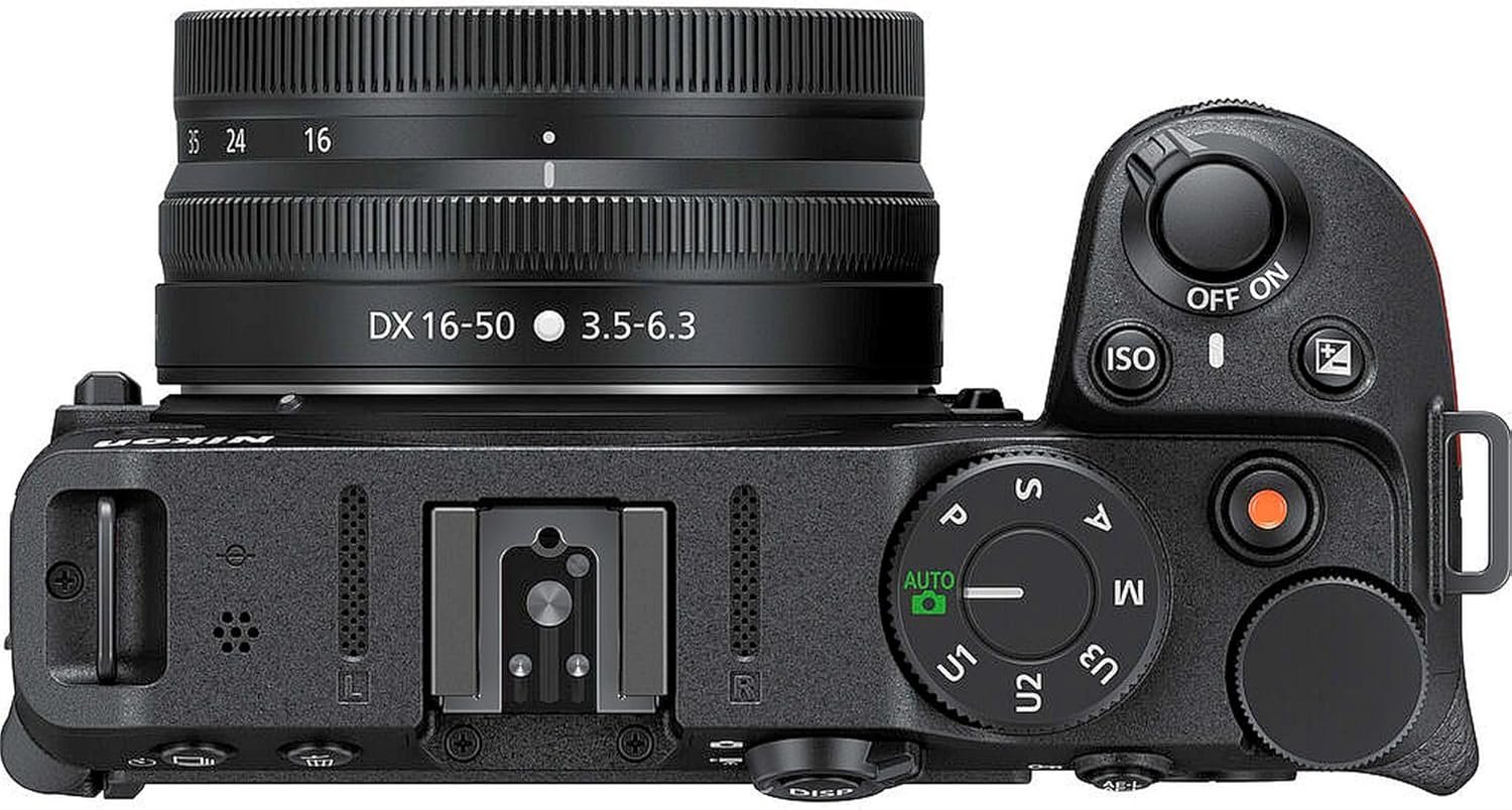 71DpJ08Z53L._SL1500_