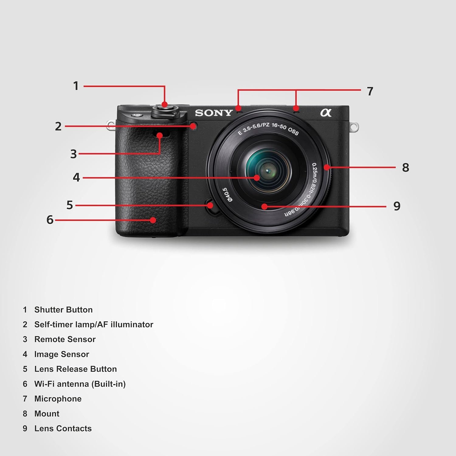 71Y7N4aSCBL._SL1500_