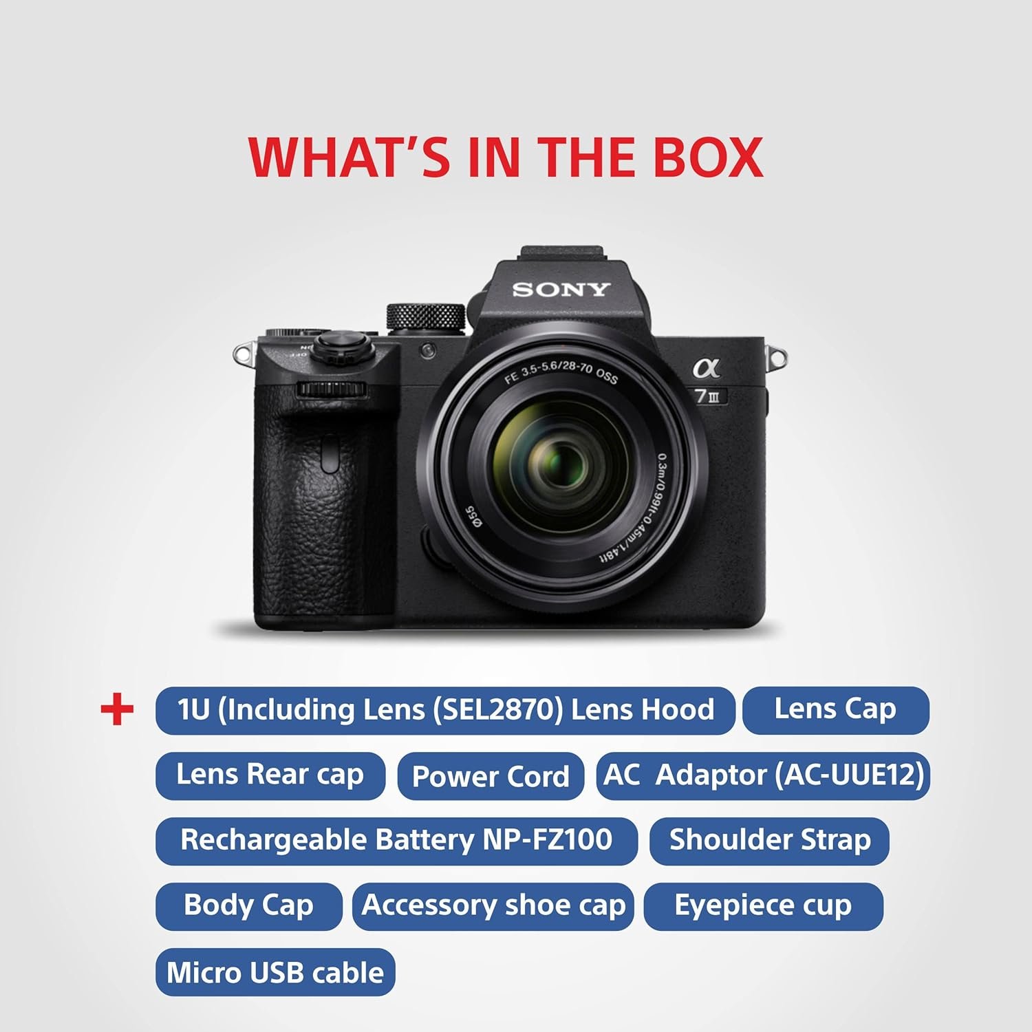 71qbwXX1VML._SL1500_