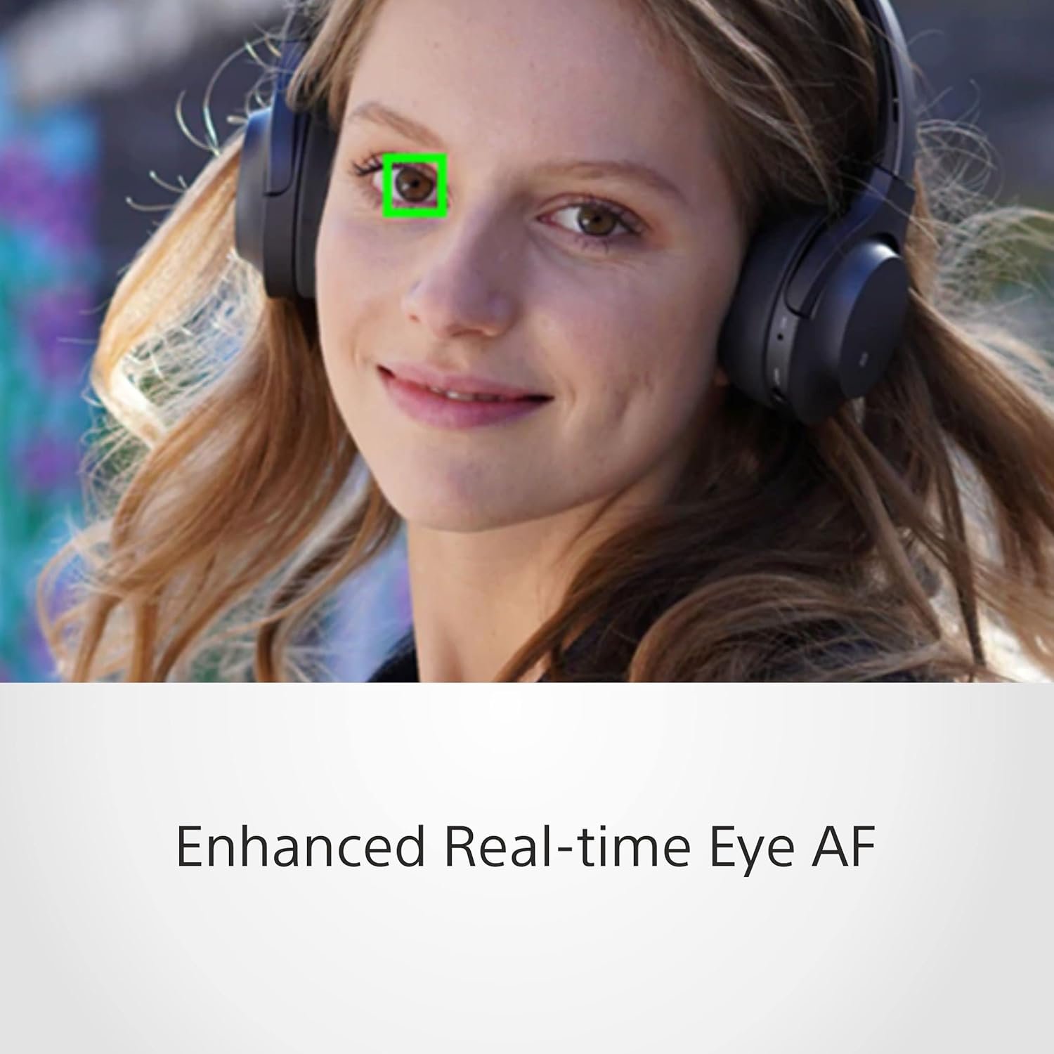 71r1Dk-j3PL._SL1500_