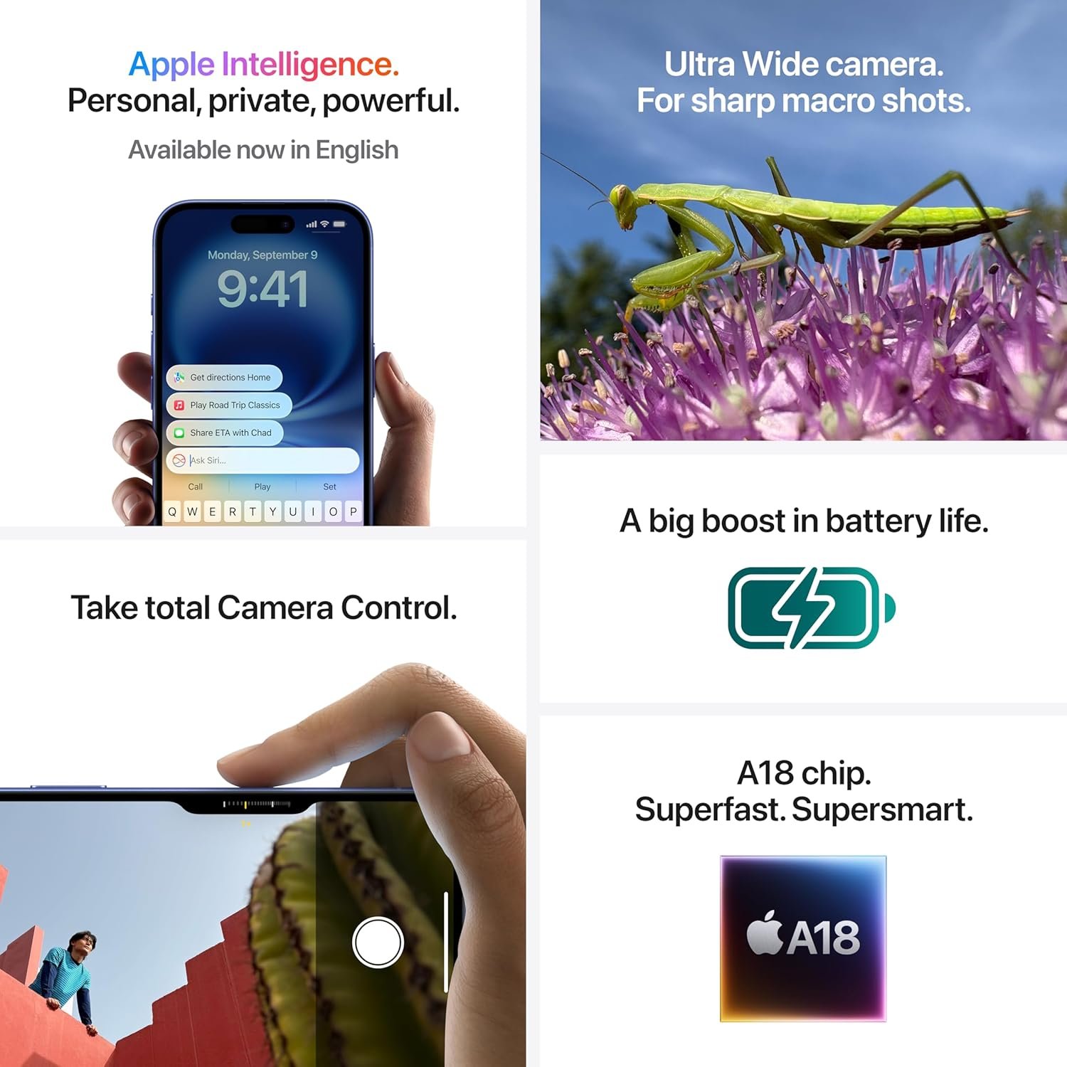 81YnXfZ-NwL._SL1500_