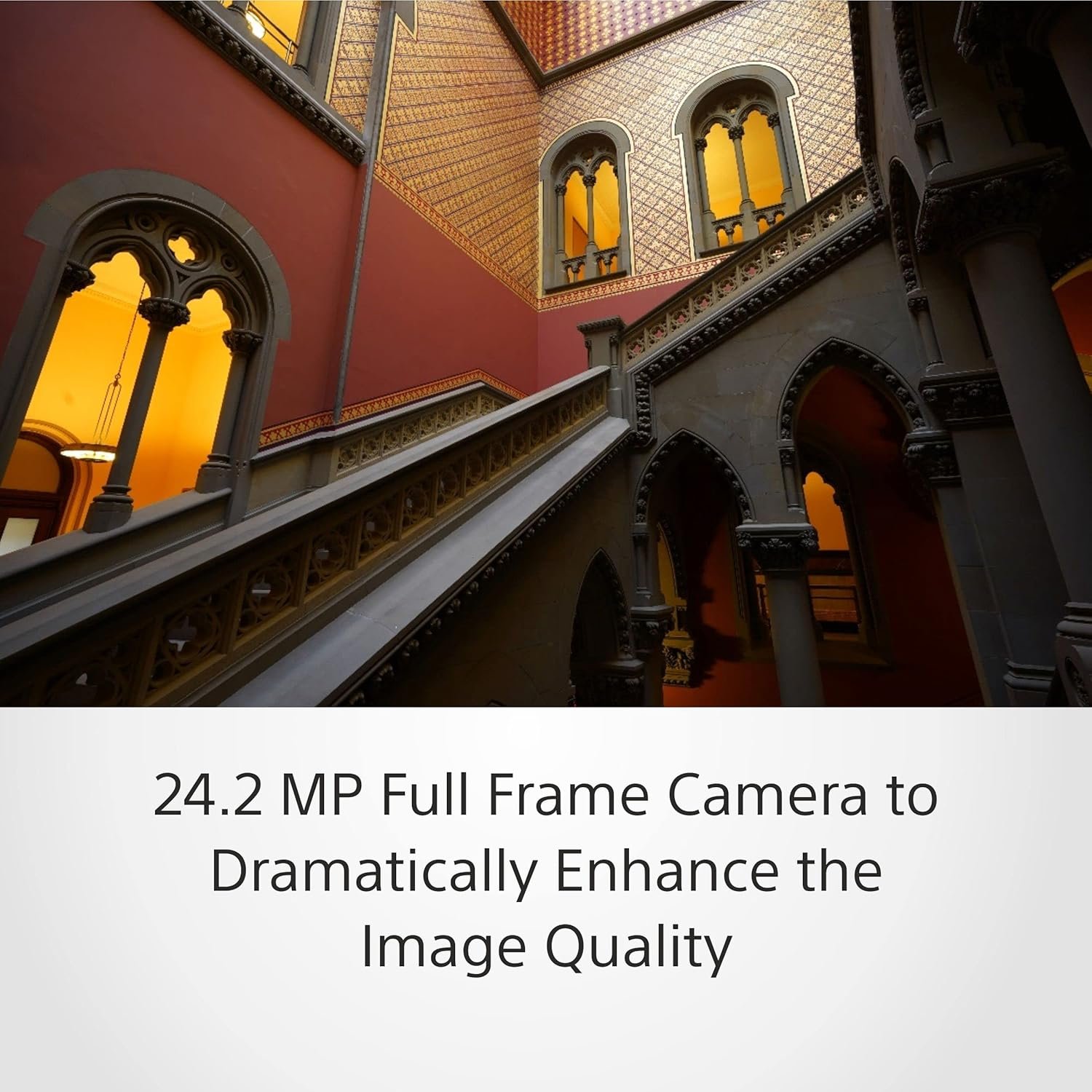 81iF6ef+A3L._SL1500_