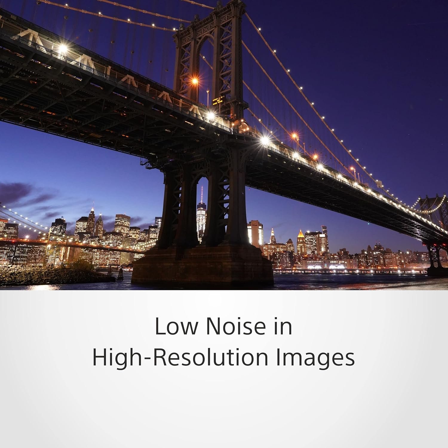 81pIXnwfxcL._SL1500_